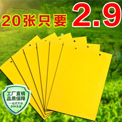 粘虫板黄板双面家用诱虫粘虫粘板