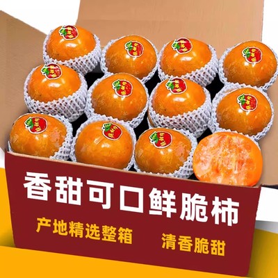 精选脆柿新鲜脆甜爽口新鲜水果脆甜硬柿子应季脆皮柿子甜脆柿力荐