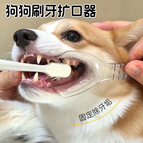 狗狗刷牙辅助器刷牙固定器口腔清洁辅助器除牙垢开口器侧边扩口器