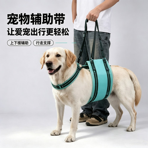 高龄残疾狗狗上下楼前后腿辅助带