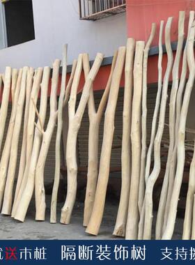 原cs天然木干树枝窗饰枯木客厅玄关橱干枝树干隔断屏装风幼儿F76M