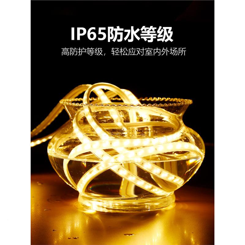 TRIRMXAC灯带装e灯条绕树超d亮户l外防水工程街道树木24v低压亮化