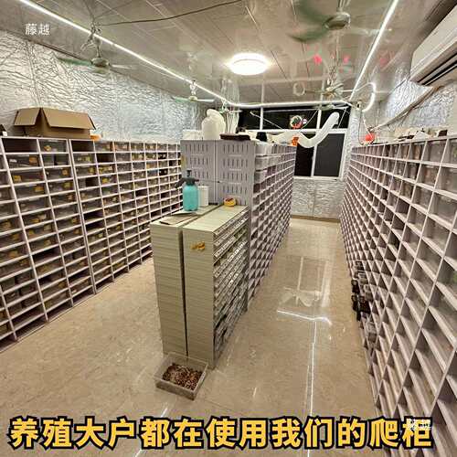 PVC爬蛇柜柜守宫蜥蜴爬NKY宠饲养箱6A32盒抽屉繁殖4一体恒温保温