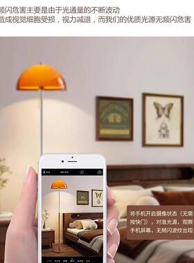 法中古客厅落式地灯落氛灯围卧室床头设计师复古日沙发旁HHS立式