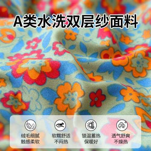 A类豆豆绒子冬被春F9889S被秋单被人学生被被芯冬季加厚保暖双人