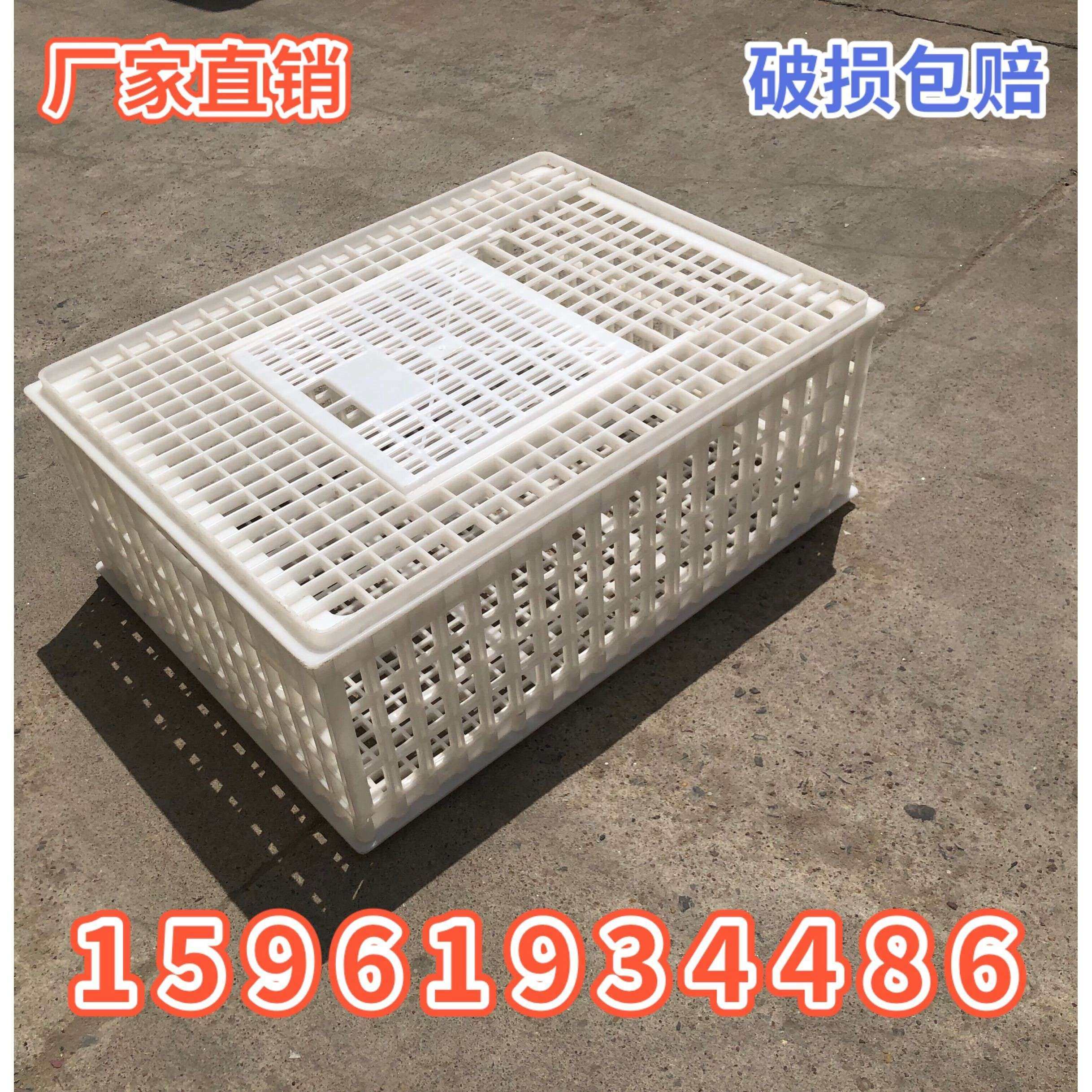家禽箱周转塑料鸽鸡鸡笼鸡鸭鹅周转筐用KNO运输笼鸡筐成鸡箱子笼,农机/农具/农膜,农用防护器具,淘宝优惠券,粉丝福利购,淘宝优惠卷