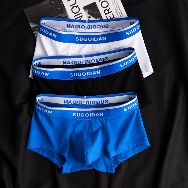 3条男士纯棉内裤男款平角裤低腰B性感U囊袋男生裤衩四角白色短裤