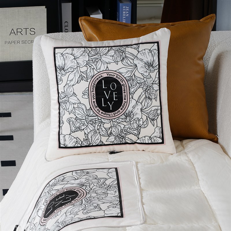 抱枕被子二合一两用车载折t叠午睡毛毯枕头夏季空调被高级轻奢定