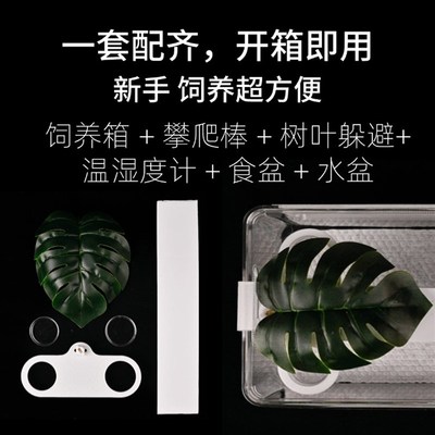 睫角守宫饲养g箱盖勾亚巨人守宫饲养箱R属守宫饲养箱R属守宫攀爬