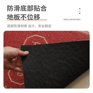 丝圈地垫入户门垫进门家用地毯玄关大门口防滑耐R磨蹭土脚垫子定
