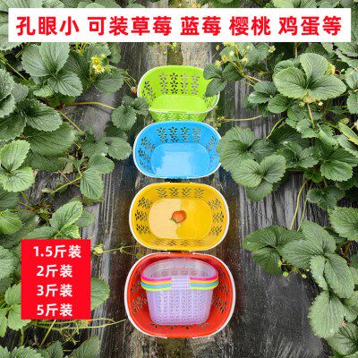 塑料水果篮子手提篮2斤3斤装5斤装草莓篮樱桃篮杨梅篮鸡蛋篮小蓝