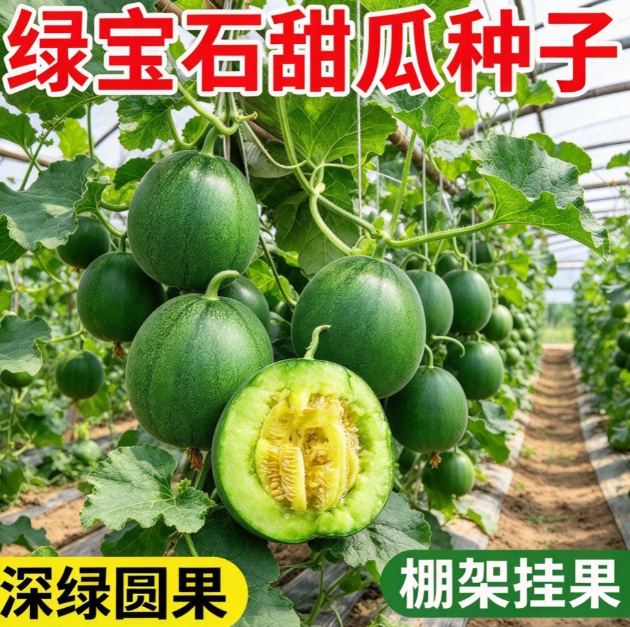 绿宝石甜瓜种籽孑绿色甜宝蜜薄皮香瓜种子耐热水果阳台庭院
