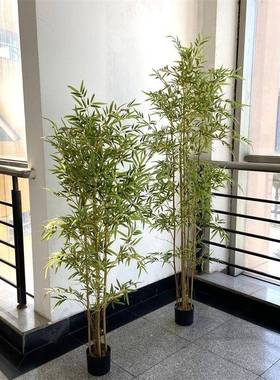 仿竹植盆栽竹子仿真毛真竹物竹假景观酒店隔断屏风88016装饰摆设