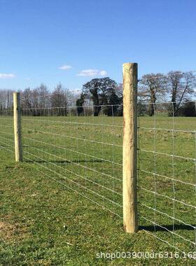 热镀锌焊PQK牛地羊网果园种植草原电养殖圈钢丝网铁丝网