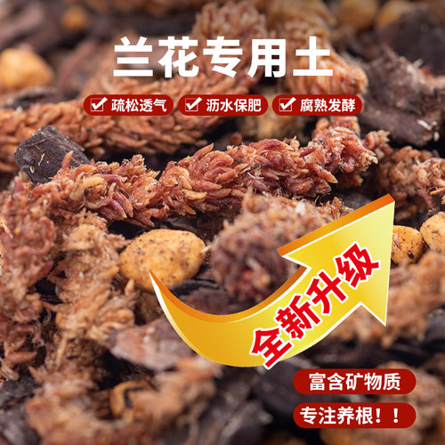 蝴蝶兰混合植料兰花专用土君子兰松树皮毛毛虫水苔兰花土营养土