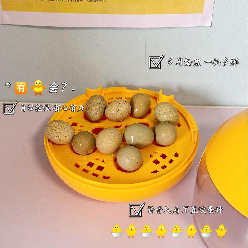 智能家用小型恒温水床孵化器芦丁鸡小鸡鹦鹉自动翻蛋湿度控制