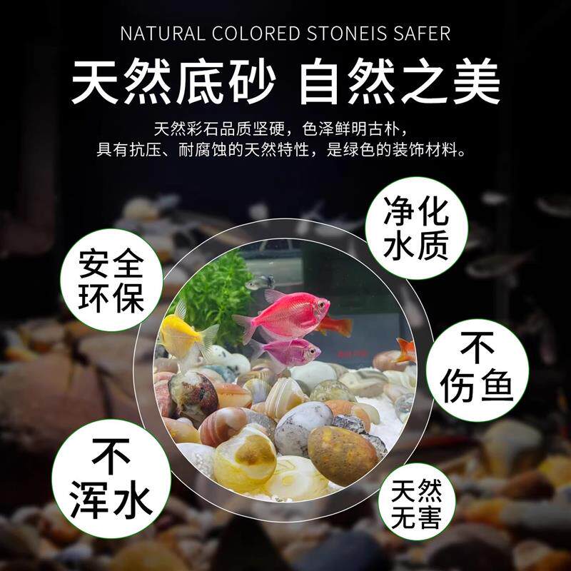 天然雨花石鹅卵石专用石子花盆多肉盆栽铺面石鱼缸造景底砂五彩石