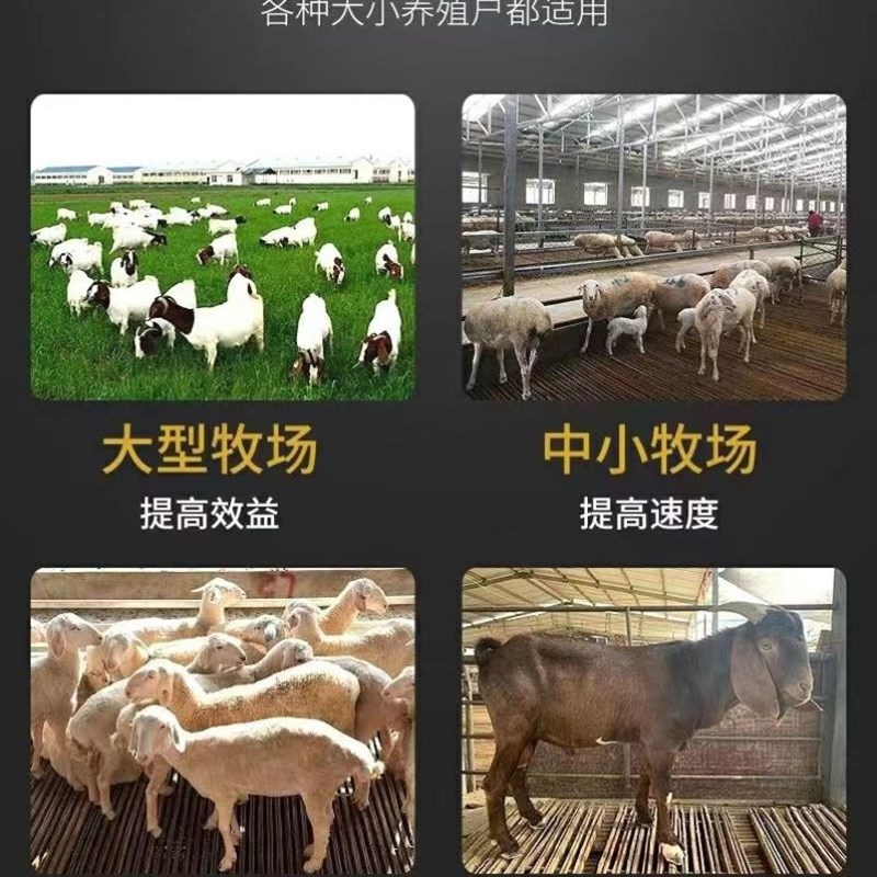 羊头支架升降多功能剪羊毛羊头架子调节输液挤奶配种羊毛推毛固定