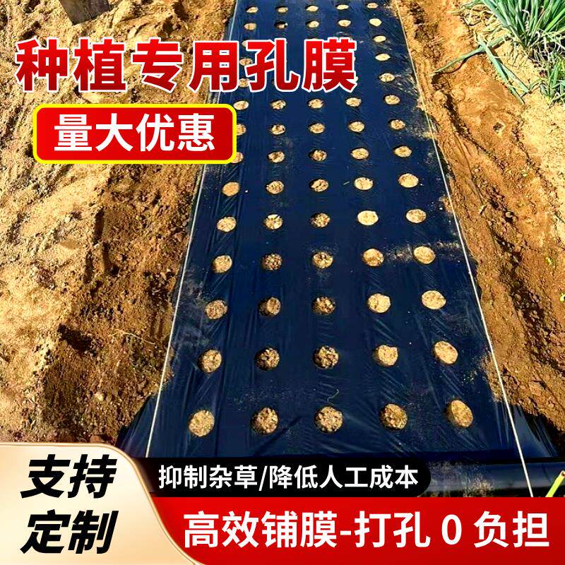 打孔地膜农用种植种菜专用塑料薄膜防草有孔黑地膜辣椒草莓玉米