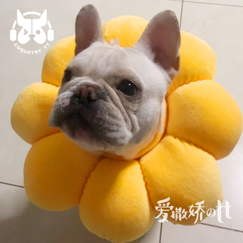 TT猫狗绝育伊丽莎白圈软布头套项圈宠物搞怪拍摄大脖圈防舔耻辱圈