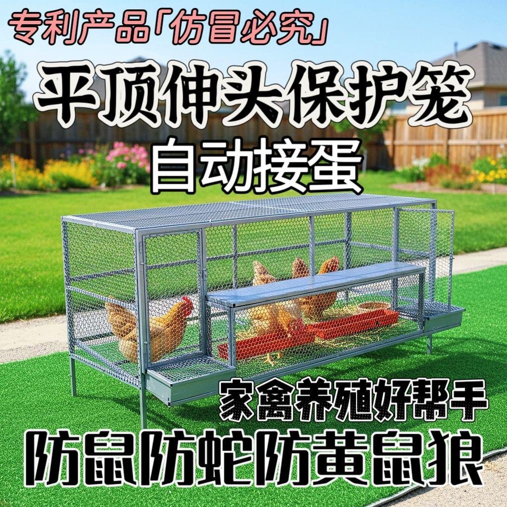 鸡笼子家用新型防雨自动收蛋防啄防狼防鼠加厚不锈全防护下蛋鸡笼