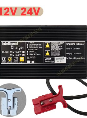 12V24V XYM拖地机洗地机扫地机电动叉车白云扬子铅酸电池用充电器