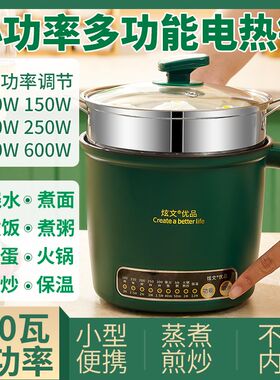 小功率100W多功能迷你电煮锅户外车载便携旅行调温小型车用电热锅