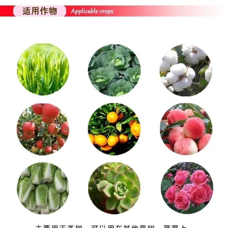 进口磷酸二氢钾正品速效全水溶保花保果农作物通用复合肥