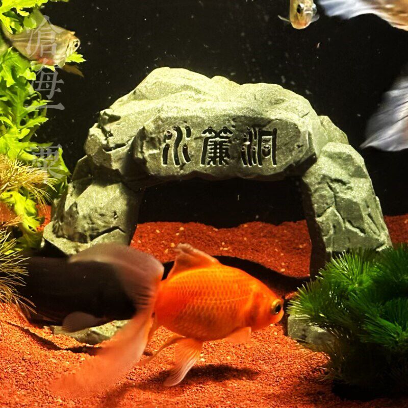 鱼缸水帘洞摆件鱼虾躲避屋爬宠乌龟晒台防滑躲藏洞穴鱼屋装饰沉底
