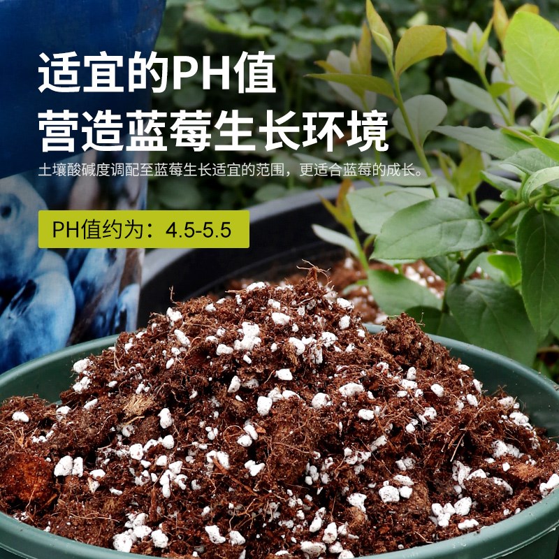 仙兔蓝莓专用土有机营养土种花盆栽种植土蓝莓树酸性土壤肥料泥炭