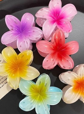 亚马逊欧美跨境爆款彩色鸡蛋花发夹花朵抓夹侧抓半抓后脑勺鲨鱼
