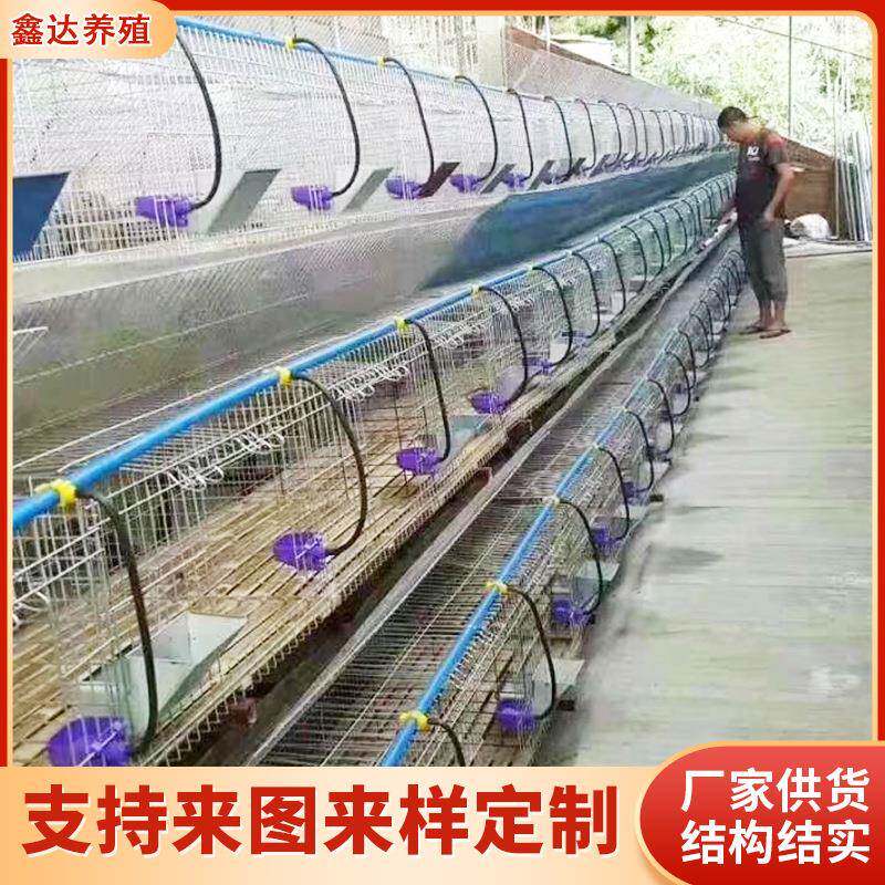 养殖厂用免清粪阶梯兔笼下沉式免