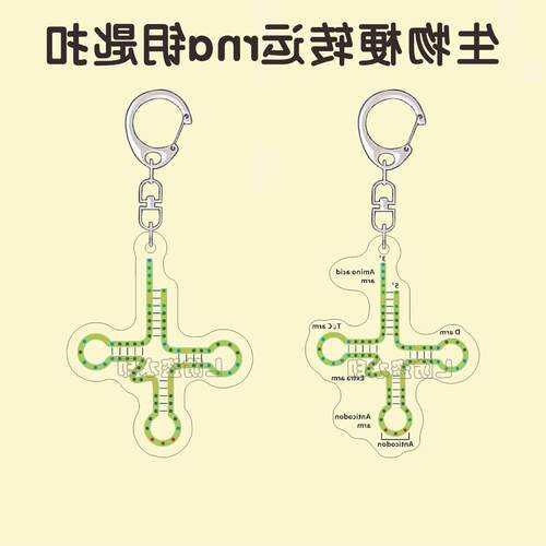 生物热梗转运RNA钥匙扣trna亚克力潮流趣味书包挂件送同学礼物
