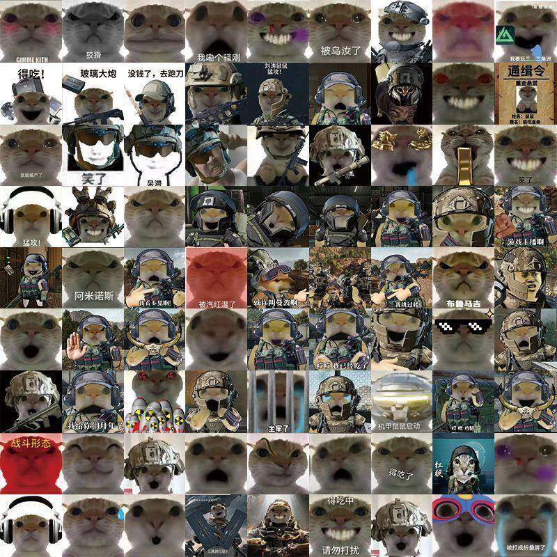 221张三角洲行动猛攻鼠得吃猫表情包贴纸搞笑沙雕趣味电脑diy贴画