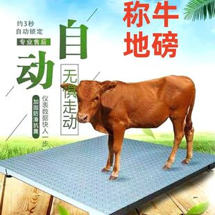 上海耀华地磅秤0-3吨工厂物流电子秤加厚地磅围栏称猪牛小型地磅