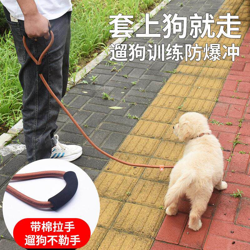 狗绳训犬p链防爆冲遛狗绳拉布拉多狗链中型犬大型犬狗狗牵引绳