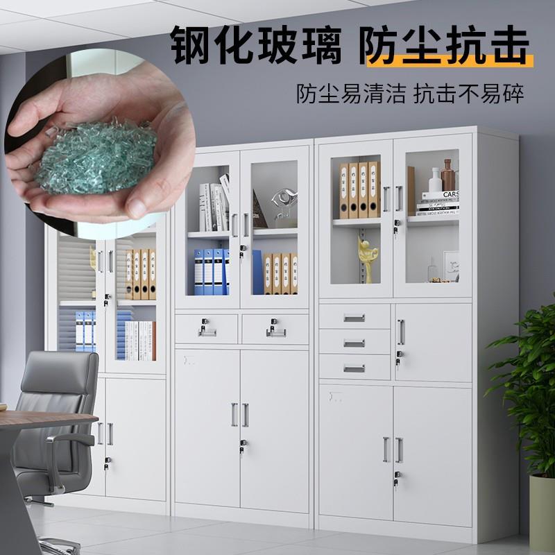 制办公文件柜铁皮器械资料档储物柜带柜锁案004凭钢证柜子包邮