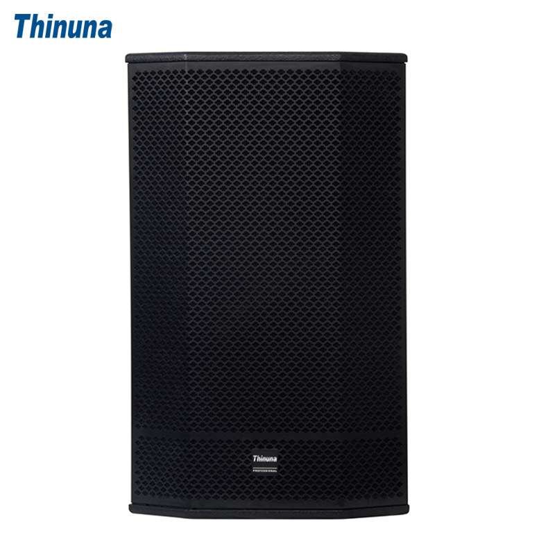 Thinuna 单15寸两分频DSP音箱户外防水音响大型演出舞台礼堂婚庆