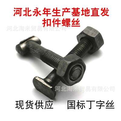 建筑扣件螺丝 钢管扣件T型螺栓 永年厂家国标 方头圆头丁字丝m12