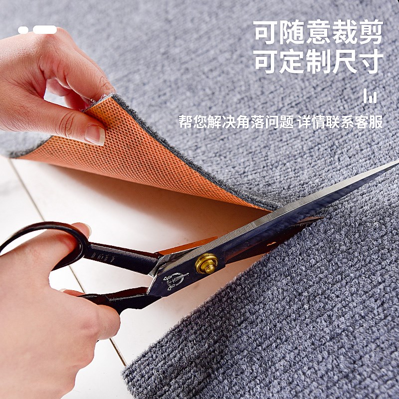 进门入户门地垫家用脚垫s大门口蹭土地毯防滑除尘垫子玄关垫门垫