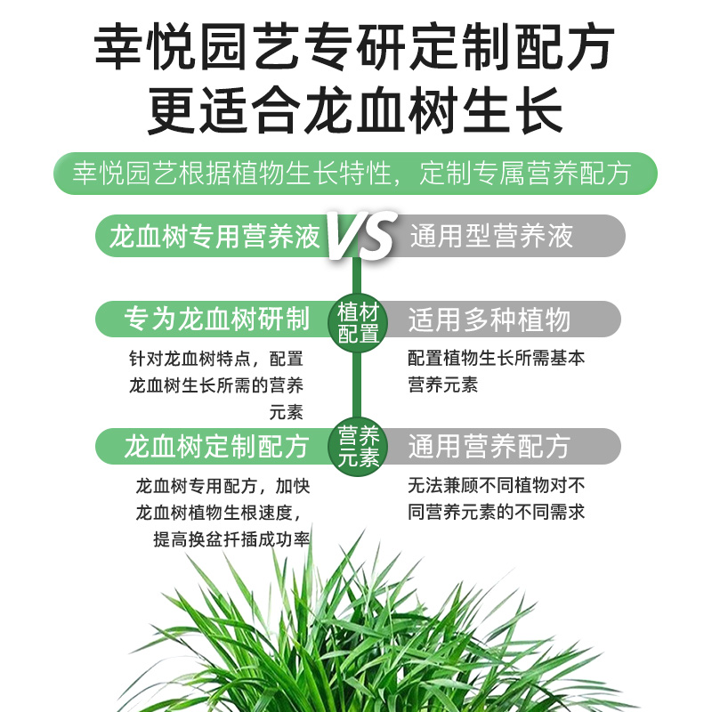 龙血树营养液龙血树专用t肥料龙铁树龙须树叶子发黄肥料专用营养
