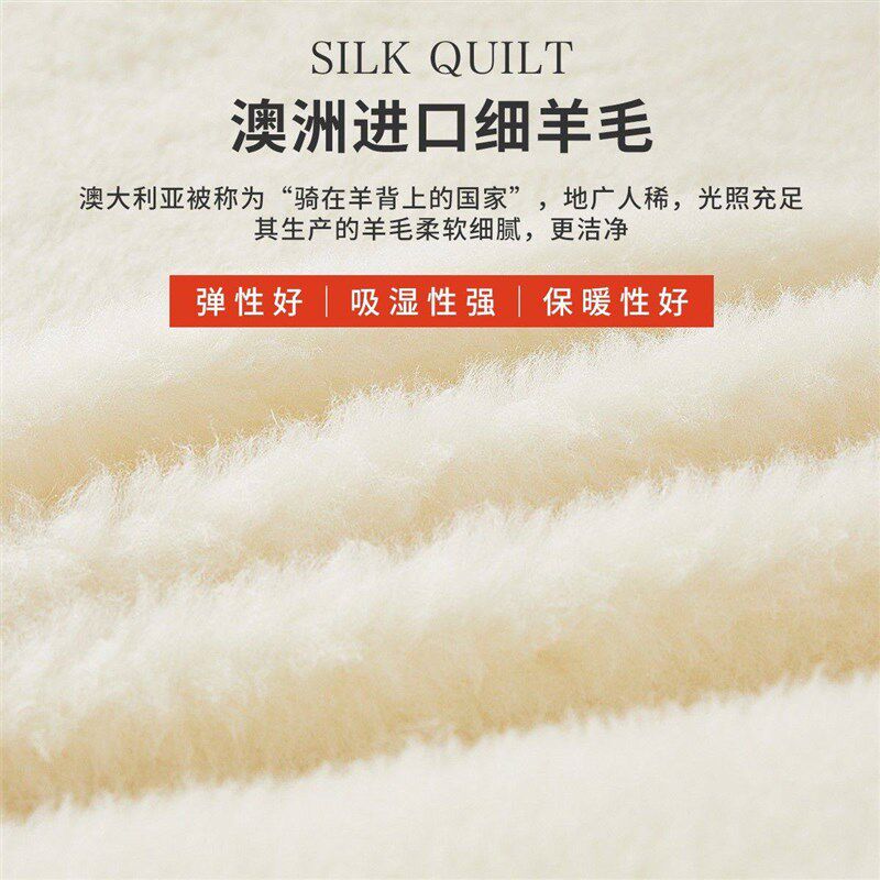 羊毛床垫软垫子家用p垫被褥子冬天加厚保暖铺底冬季羊羔绒毯子