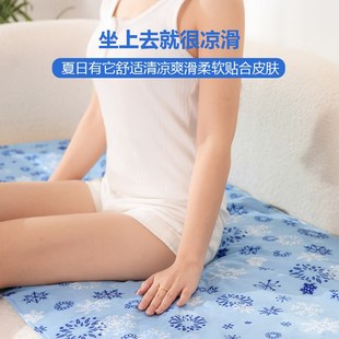 沙发冰垫床垫水床垫子凉席垫冰凉坐垫学生M宿舍免注水夏季 降温神