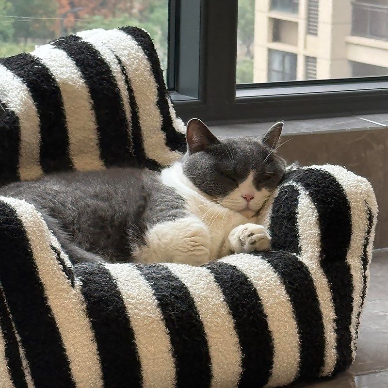 猫窝迷你沙发狗宠物可爱垫子安全C感冬季款天保暖柔软四季通用创,宠物/宠物食品及用品,猫窝/屋/帐篷/沙发,淘宝优惠券,粉丝福利购,淘宝优惠卷