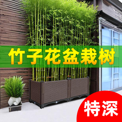 竹子花盆果树种植箱栽树户外花A箱种菜专用箱大号家用阳台盆栽塑