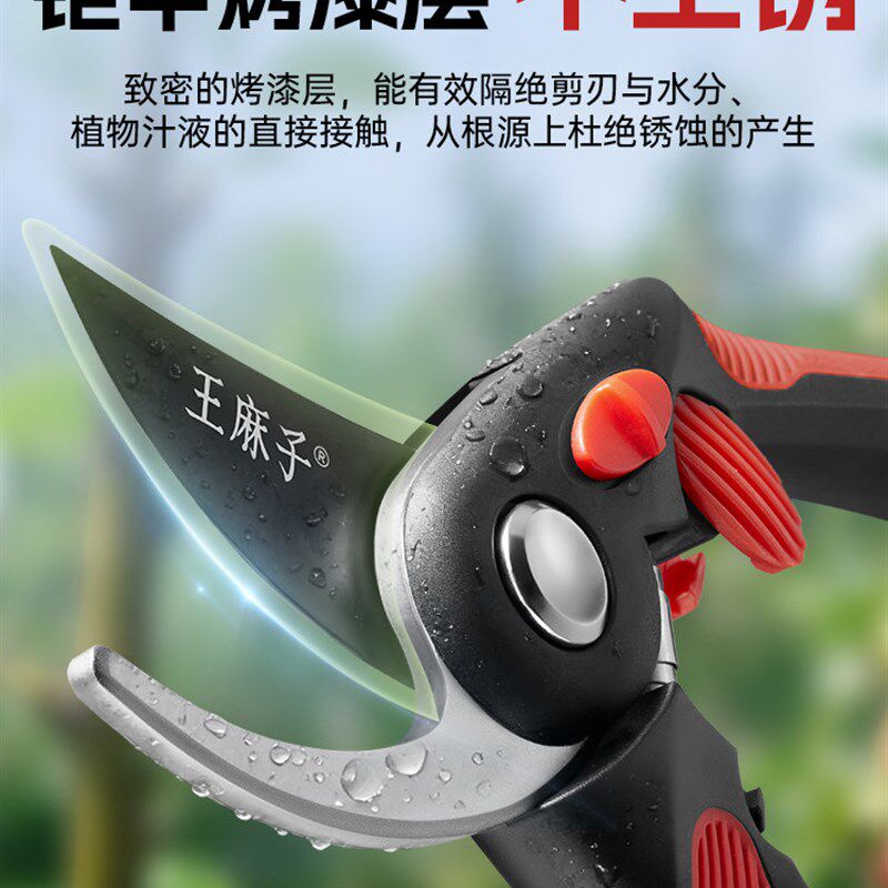 王麻子园艺剪刀修枝剪水果t葡萄鲜玫瑰花卉剪花艺剪插花师花店专