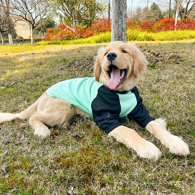 大狗狗衣服夏季薄款透气金毛拉布拉多哈I士奇萨摩耶休闲大型犬背