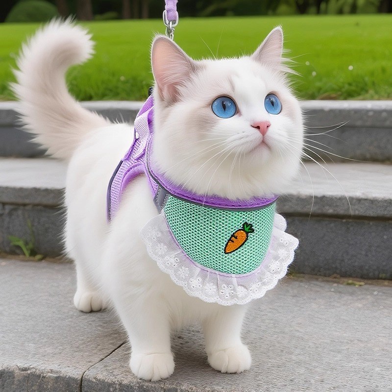 猫咪牵引绳舒适透气小猫口水x巾胸抱婴袋防挣脱外出遛猫遛狗绳子