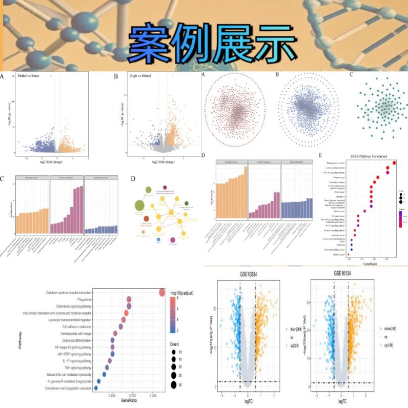 生信分析转录组学与数据可视化基因生物信息学医学科研R语言绘图