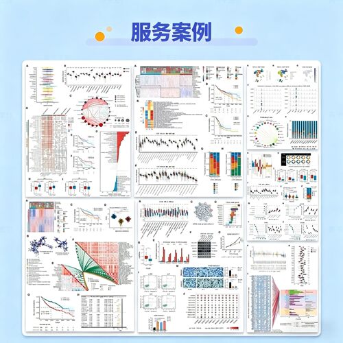 中医药网络药理学代做 网药 TCMSP GO KEGG cytoscape 分子对接